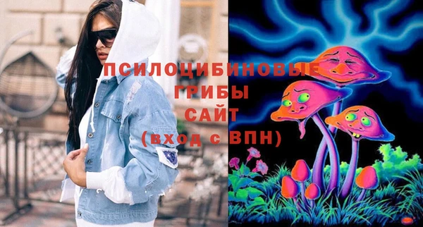 тгк Гвардейск