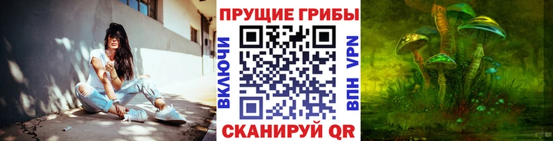 Псилоцибиновые грибы Magic Shrooms  цена   Кашин 